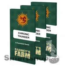 Chronic Thunder feminised